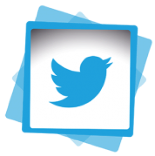 Twitter logo Icon