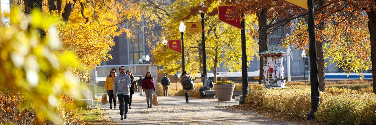 Image of students walking across campus in fall as the leaves are bright yellow and red.